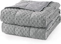 Mr. Sandman Weighted Blanket for Adults, Minky Dots Heavy Blanket for Woman by MrSandman