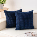 Aegero Pack of 2 Corduroy Decorative Throw Pillow Covers 24x24 Inch Soft by Unknown