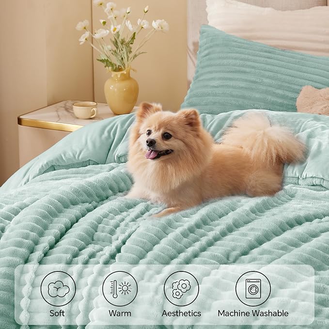 BEDELITE Fleece Queen Comforter Set -Super Soft & Warm Fluffy Light Green - Image 3