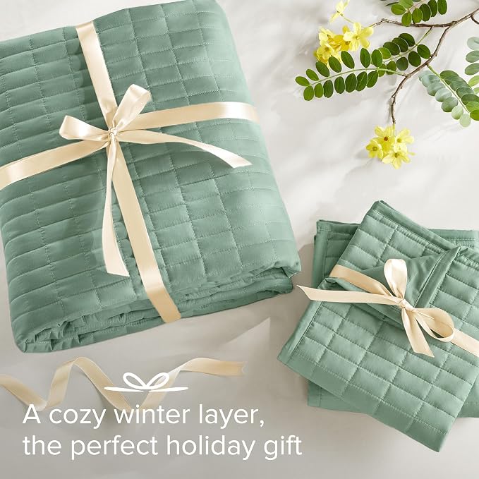 Comfort Spaces Kienna Quilt Set- Double Sided Stitching Design Summer Blanket - Image 7
