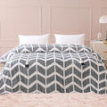 VENTIMI Electric Blanket Queen Size, Fast Heating Blanket by VENTIMI