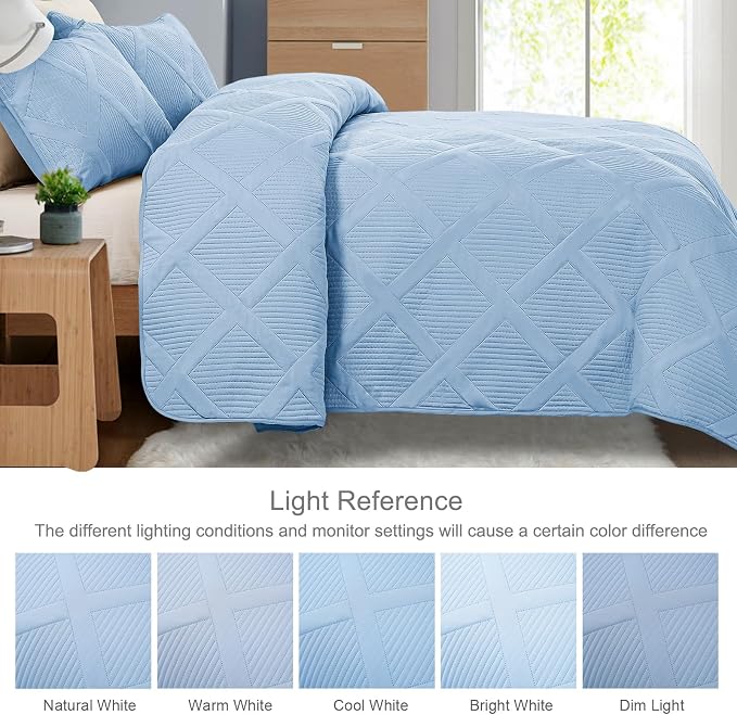 Exclusivo Mezcla Full Queen Size Quilt Set - Image 5