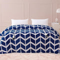 VENTIMI Electric Blanket Queen Size, Fast Heating Blanket by VENTIMI