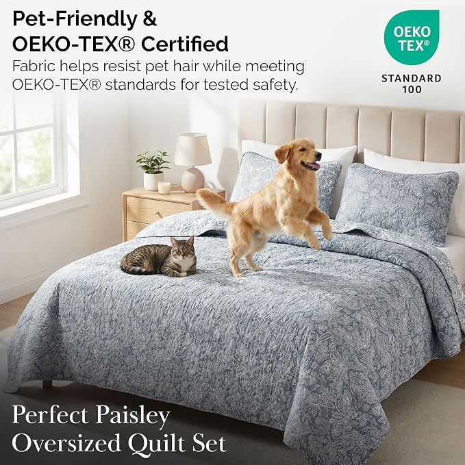 Southshore Fine Living, Inc. Extra Large King Size Quilts, Paisley Quilt - Image 5