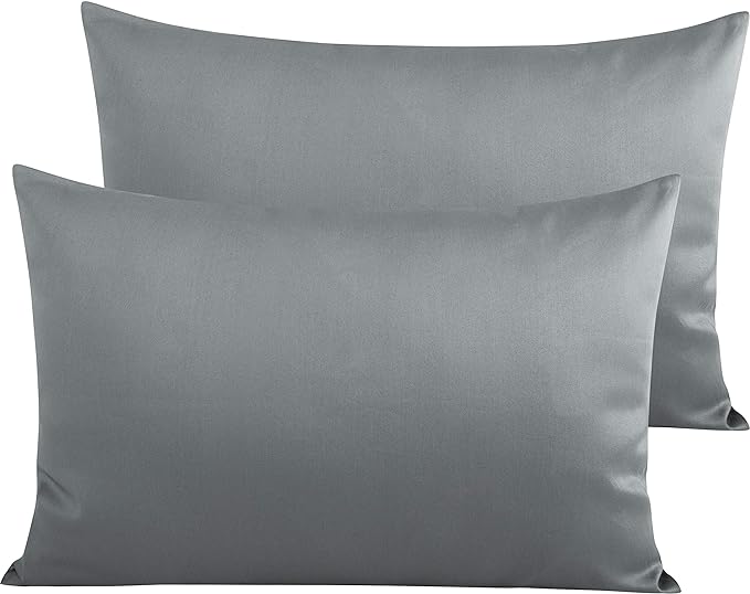 NTBAY Egyptian Cotton Queen Pillowcases by NTBAY