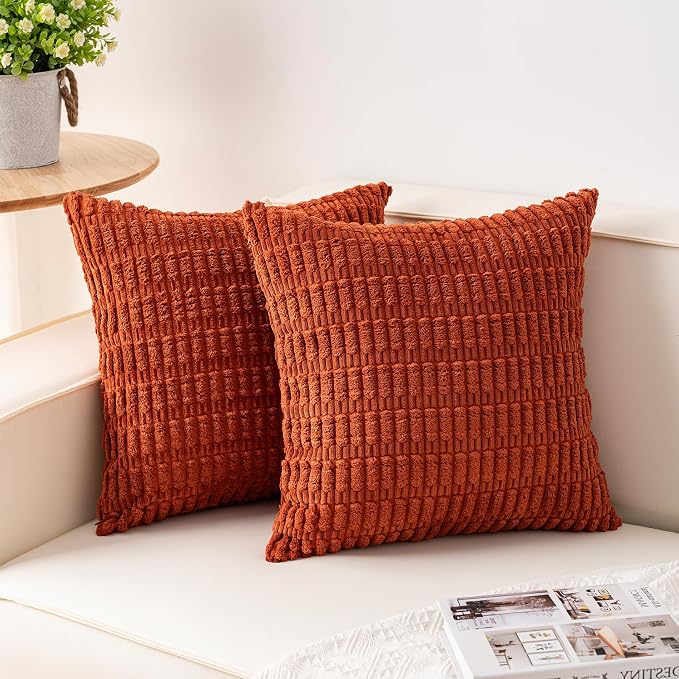 Aegero Pack of 2 Corduroy Decorative Throw Pillow Covers 22x22 Inch Soft by Unknown