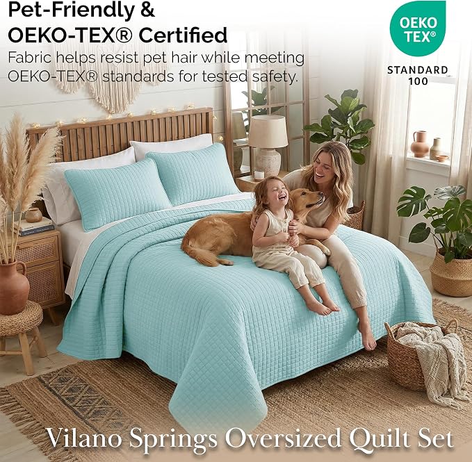 Southshore Fine Living, Inc. Quilts Queen Size - Image 5