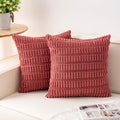 Aegero Pack of 2 Corduroy Decorative Throw Pillow Covers 24x24 Inch Soft by Unknown