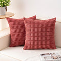 Aegero Pack of 2 Corduroy Decorative Throw Pillow Covers 16x16 Inch Soft by Unknown